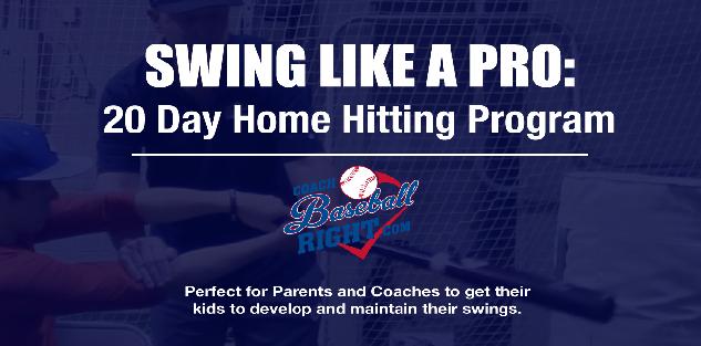 Swing Like a Pro: 20 Day Home Hitting Program