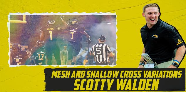 Mesh and Shallow Cross Variations: Scotty Walden