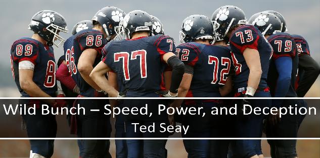 Wild Bunch - Speed, Power, and Deception in Youth Football