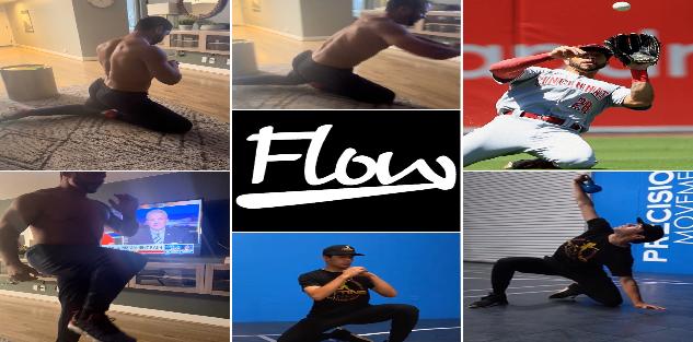 Baseball flows (Phase 1-9) over 90 exercises for Coaches, S&C, Trainers