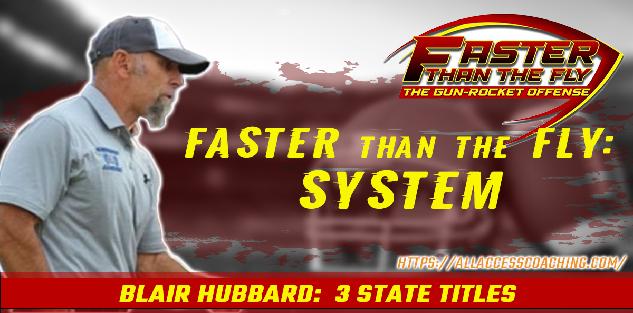 Faster Than The Fly: System