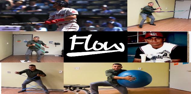 Baseball Flows (DNS+ Movement training for Hitters)