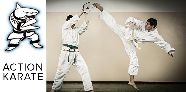 Beginner's Karate