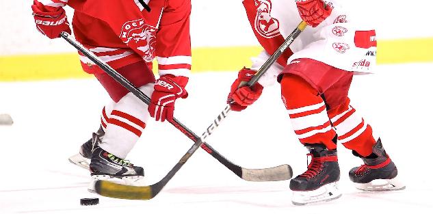 Coaching Youth Hockey: From Mites to PeeWees