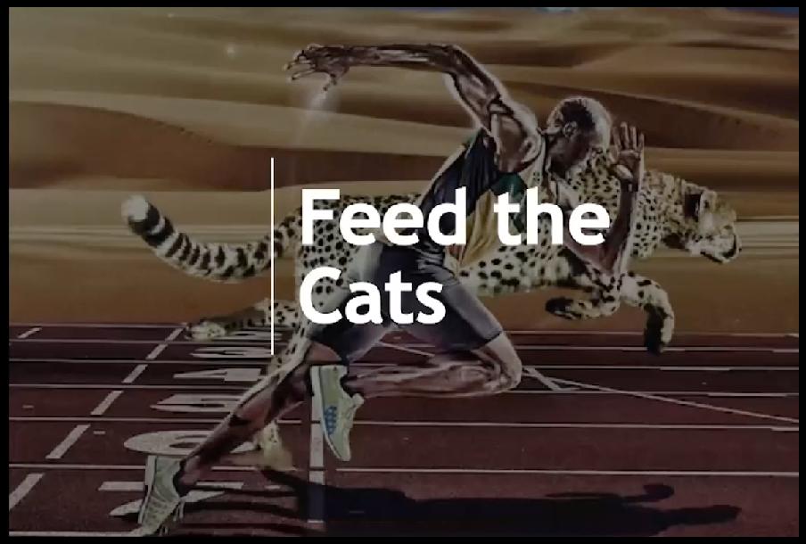 Sprint Training - Intro to Feed the Cats