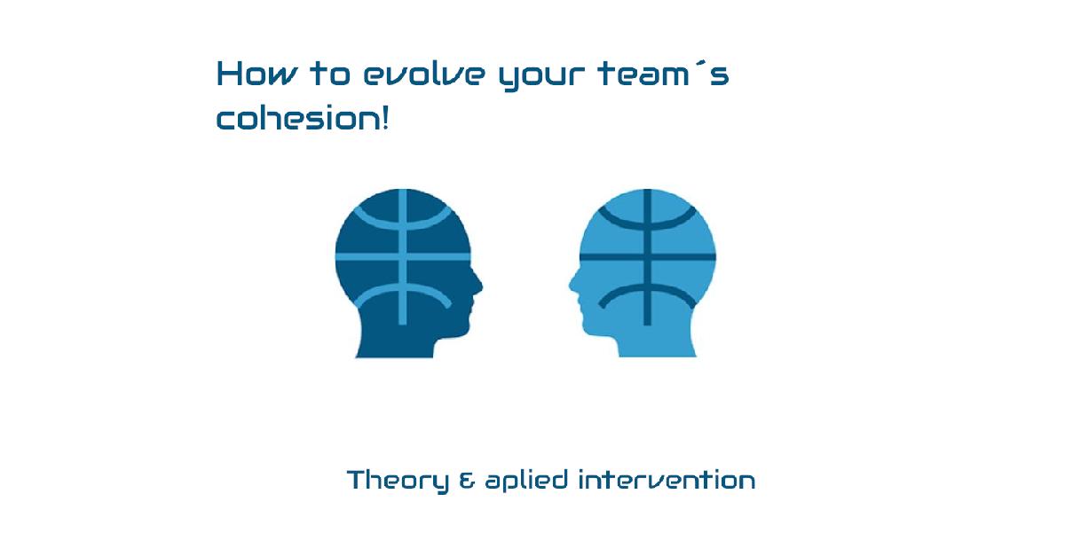 How to evolve your teams cohesion