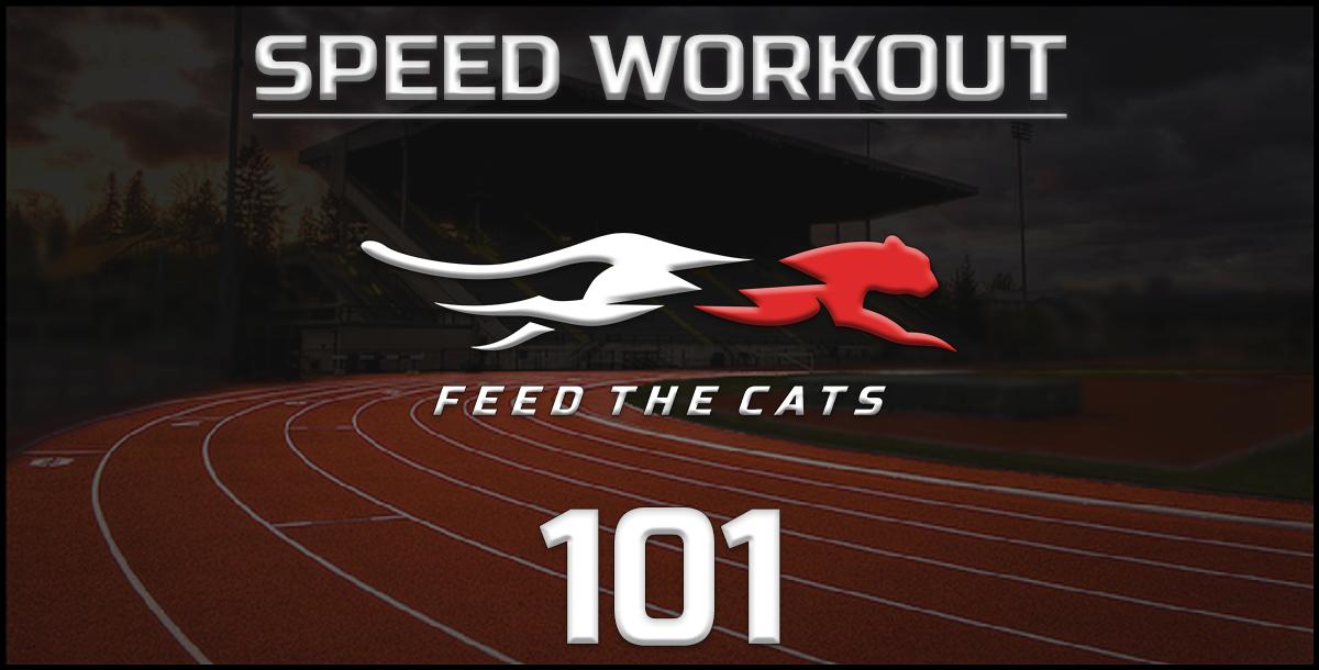 Feed the Cats The OffSeason Speed Workout by Tony Holler CoachTube