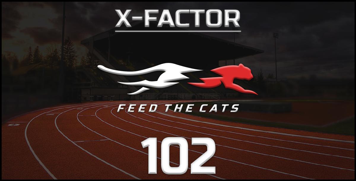 Feed the Cats: Top Explosive Exercises that Increase Speed