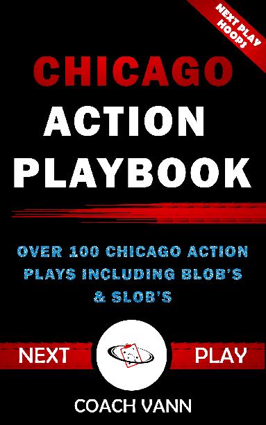 Chicago Action Playbook (Zoom)