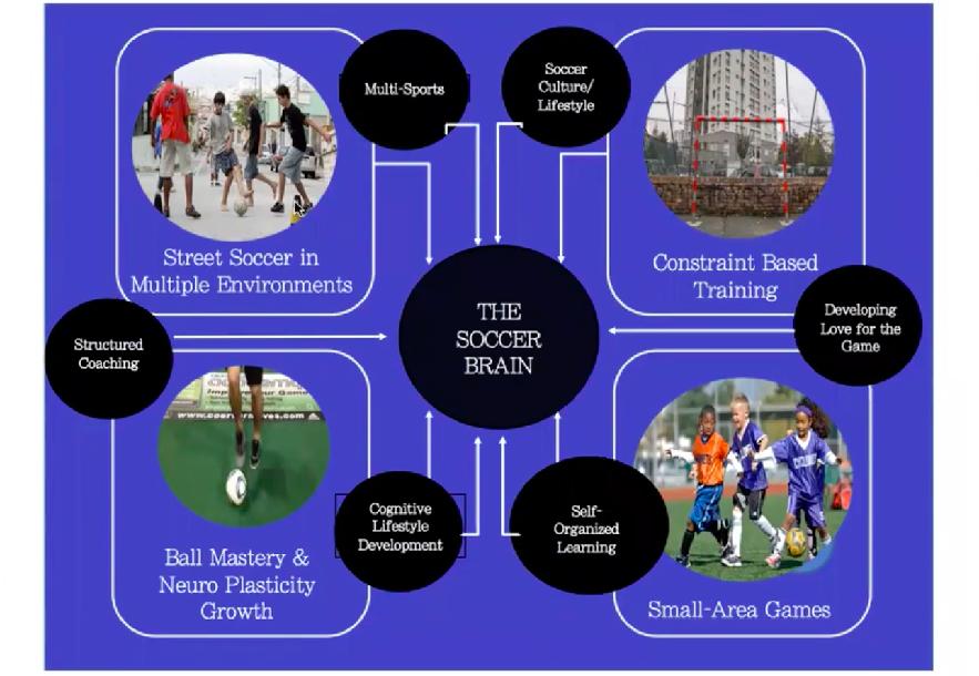 Developing Soccer Intelligence in Players