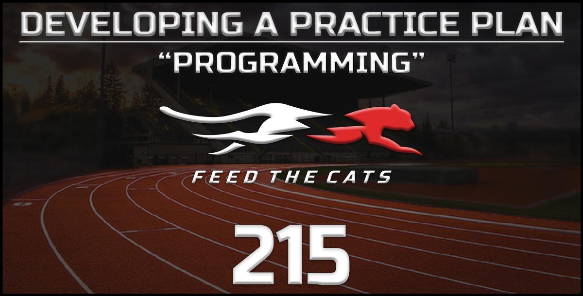 Feed The Cats: Developing a Practice Plan - Programming