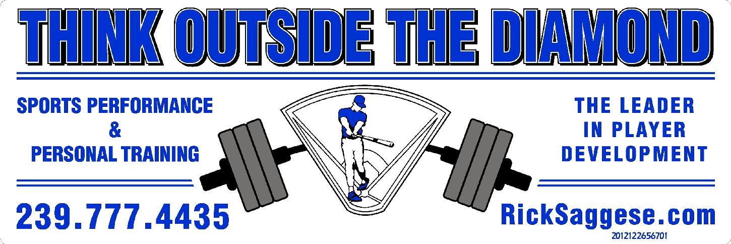 Baseball Hitting Strategy 