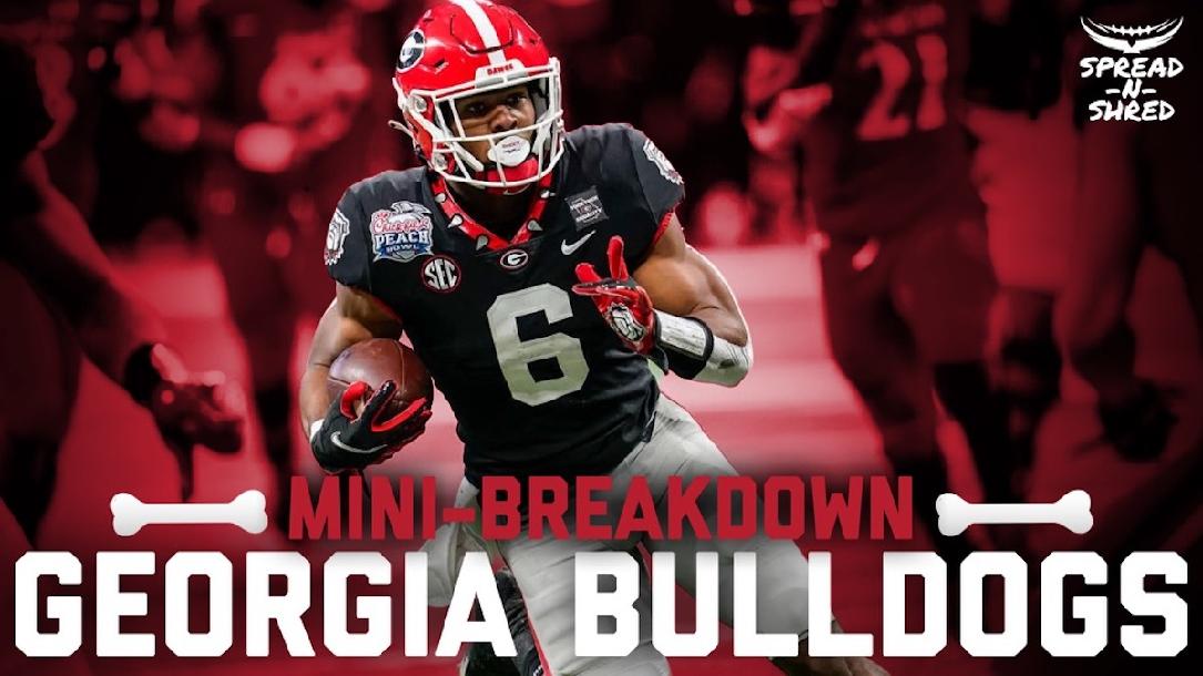 Georgia 2021 Mini-Breakdown