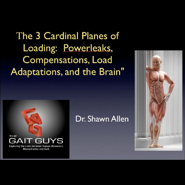 The 3 Cardinal planes of loading: Powerleaks, Compensation, Load Adaptation The 3 Cardinal planes of loading: Powerleaks, Compensation, Load Adaptation