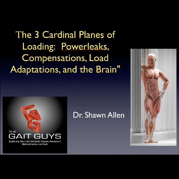 Shawn Allen- The 3 Cardinal Planes of Loading