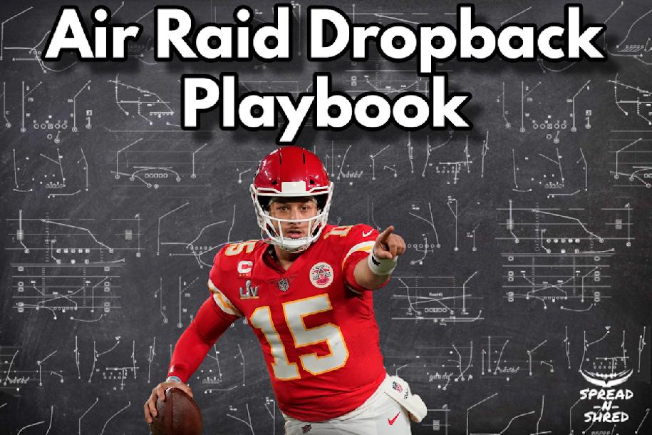 Air Raid: Dropback Playbook