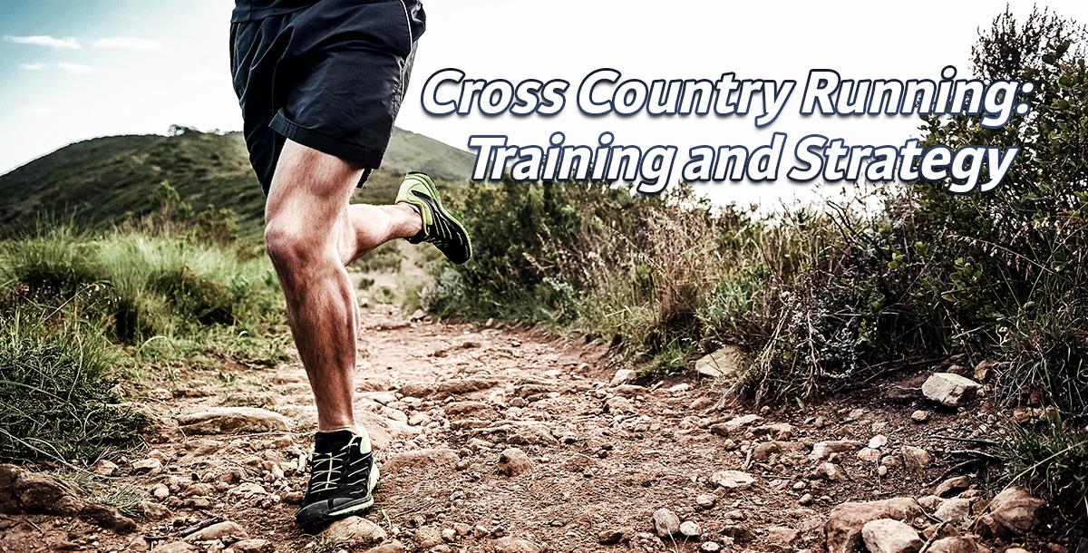 Best trainers for cross country running online