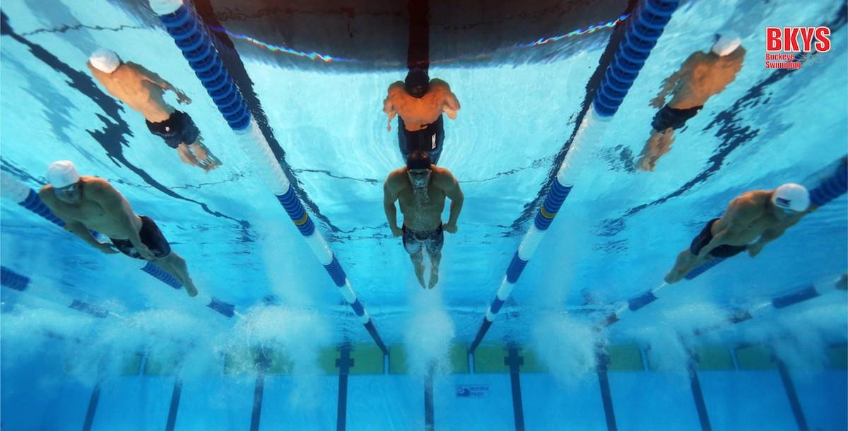 Swim Like a Buckeye with Head Coach Bill Wadley