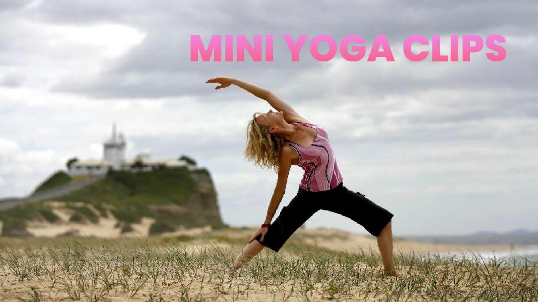 Mini Yoga Clips