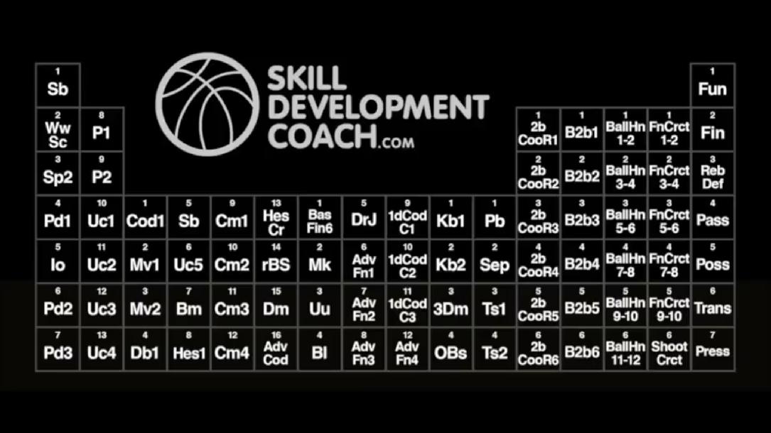 Skill Development Coaching