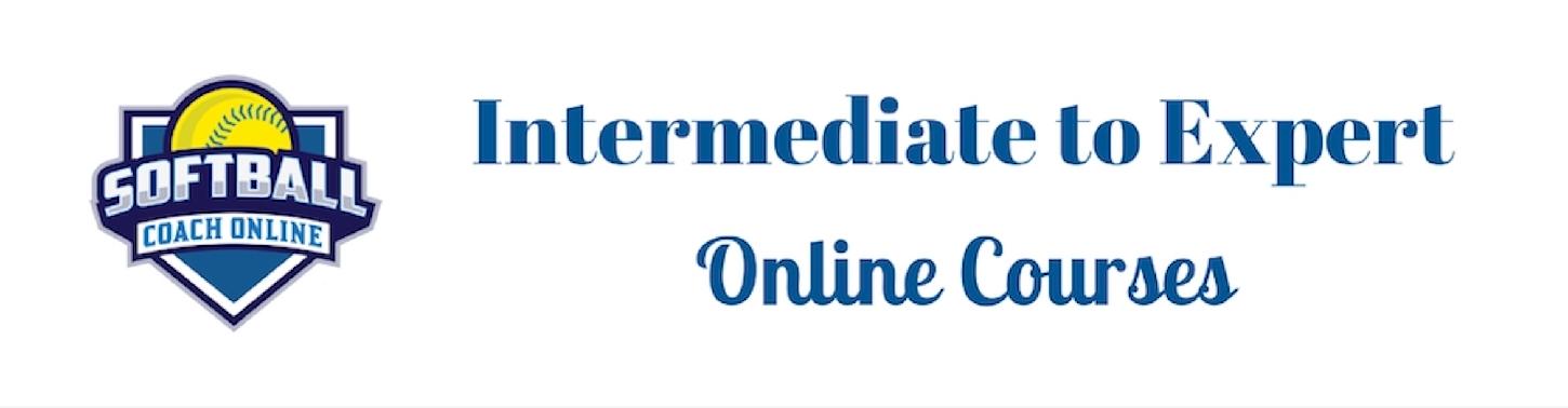 Intermediate to Expert Online Course Package