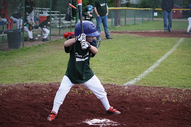 Coaching Little League: The Basics - A Surrey Baseball